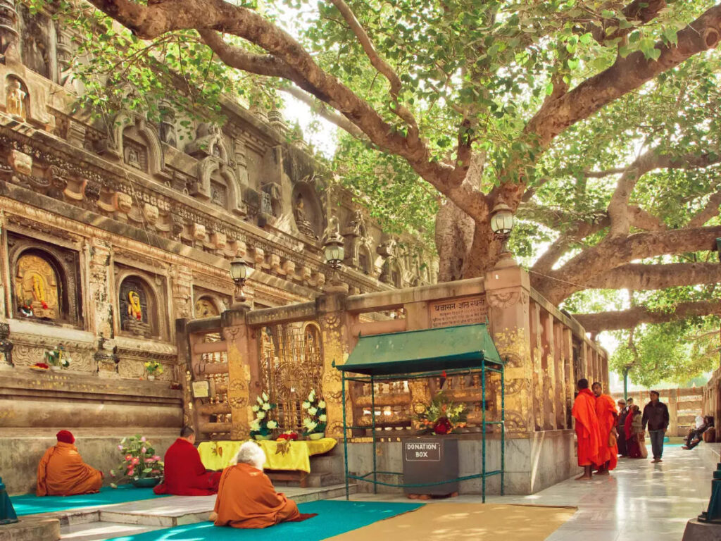 Unlocking the Secrets of Bodhgaya: A Hidden Spiritual Haven